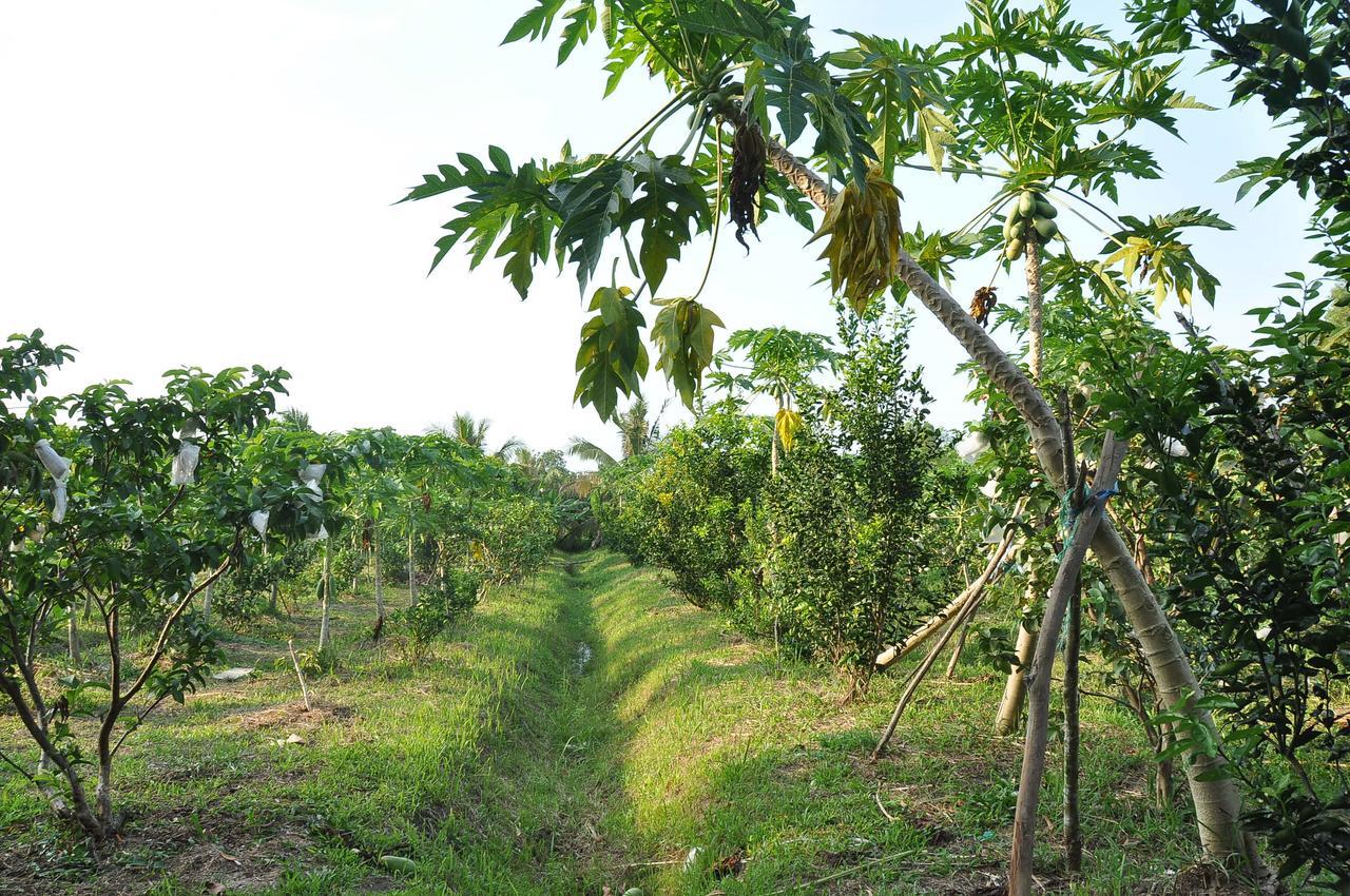 Orchard Fruit Farm Bungalow Phu Quoc Eksteriør bilde