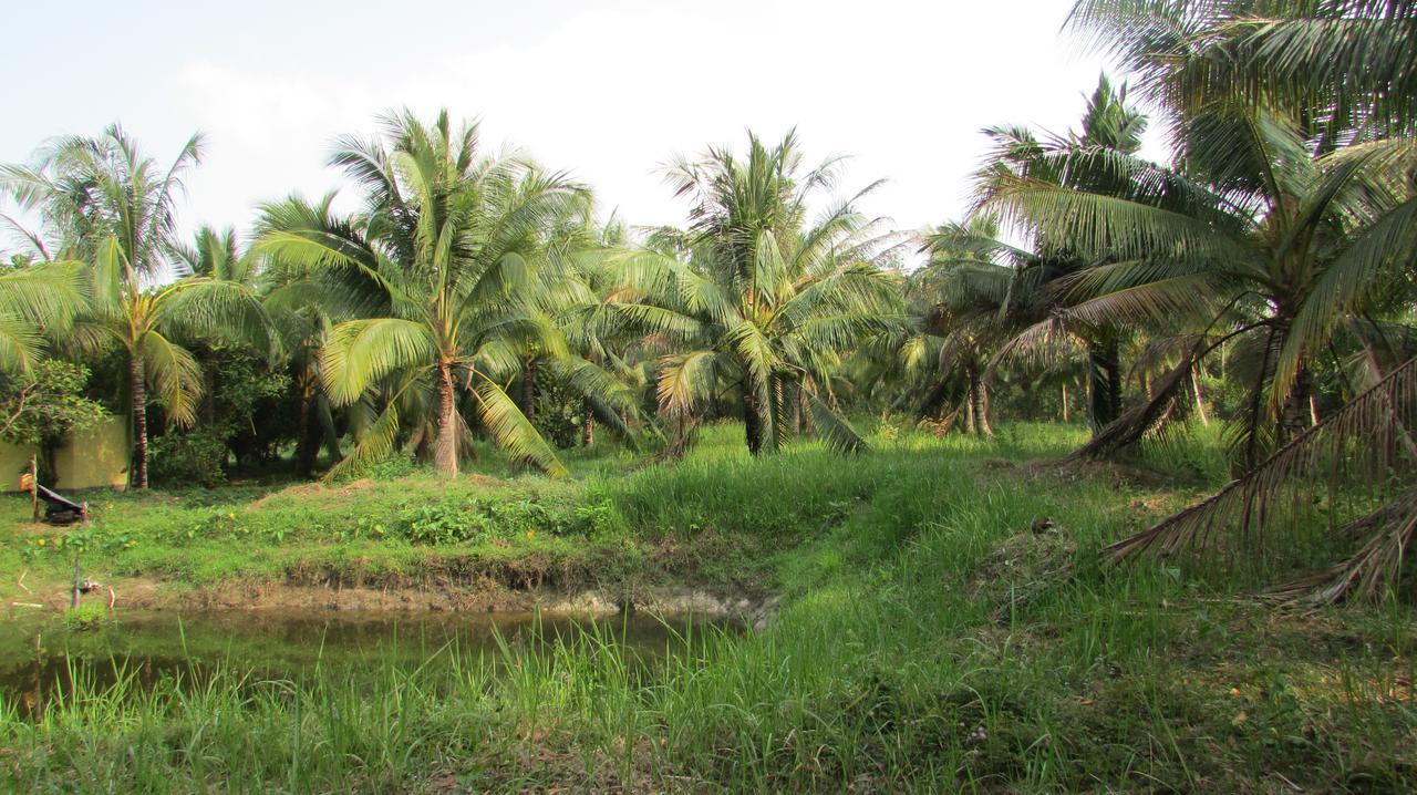 Orchard Fruit Farm Bungalow Phu Quoc Eksteriør bilde