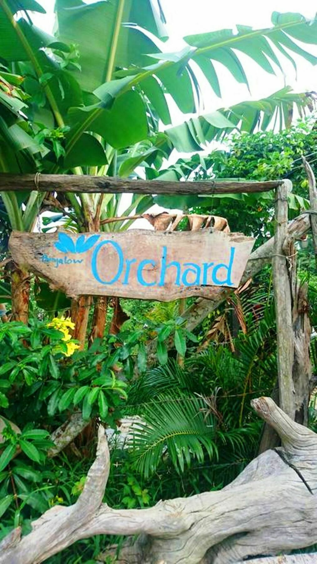 Orchard Fruit Farm Bungalow Phu Quoc Eksteriør bilde